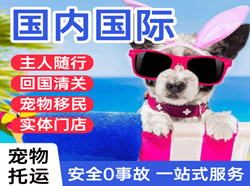 乌鲁木齐机场邮寄国际宠物托运 【国